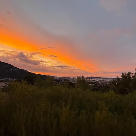 Au Calme Des Pins Avec Vue