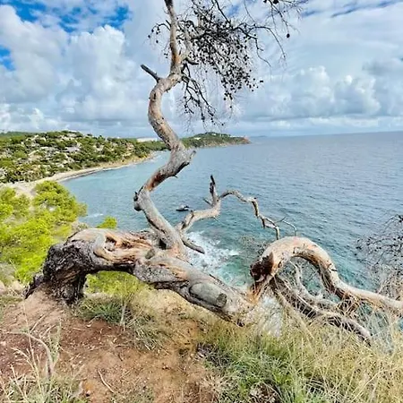 Au Calme Des Pins Avec Vue Дом отдыха Тулон