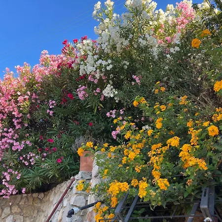 Au Calme Des Pins Avec Vue * Тулон